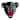 Maine Black Bears